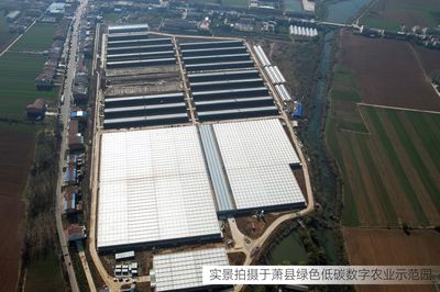 總投資6億元！江蘇綠港又一現代化設施農業園即將建成運營，助力旅游高質量發展